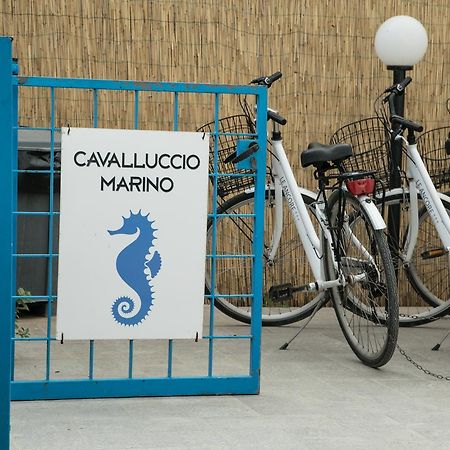 Cavalluccio Marino Appartamento Favignana Esterno foto