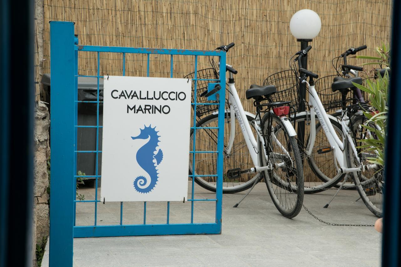 Cavalluccio Marino Appartamento Favignana Esterno foto